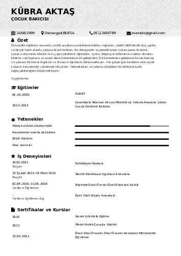 cv indir